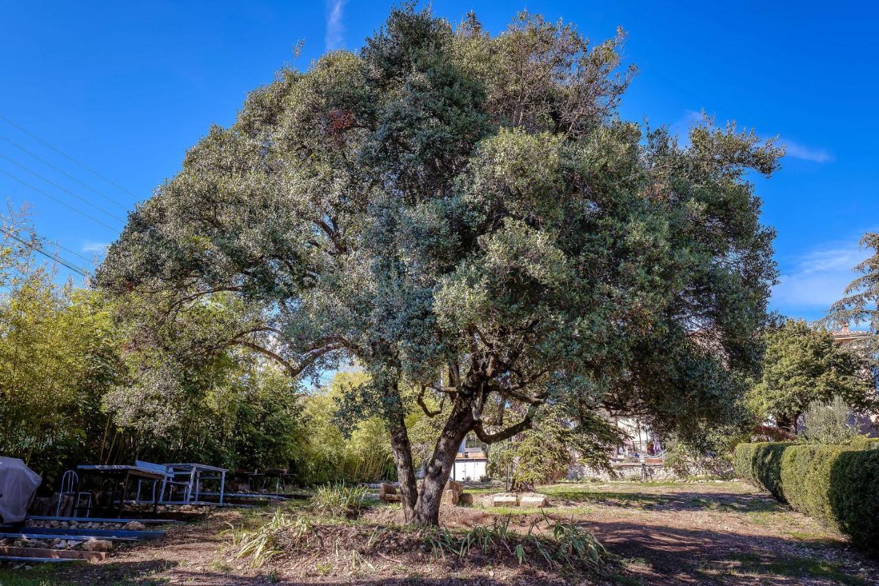 B&B En Provence- Villa Saint Marc Forcalquier Dış mekan fotoğraf