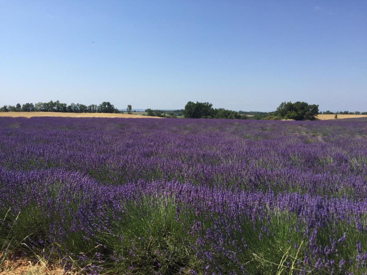 B&B En Provence- Villa Saint Marc Forcalquier Dış mekan fotoğraf