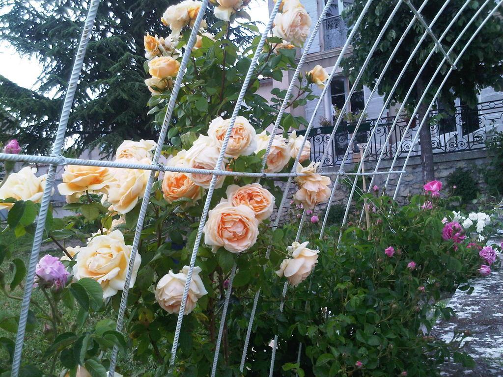 B&B En Provence- Villa Saint Marc Forcalquier Dış mekan fotoğraf